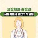 서은치과의원 | 서울특별시 용산구 후암동 교정치과 총정리
