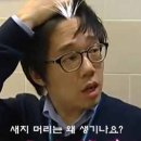 머리하는 궁