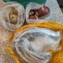 영교목장 | 일상 #5