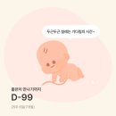 광주광역시 동구국민체육센터 다목적실 | 임신일기 #8 에덴병원 25주차 임당검사, 입체초음파 얼굴 gpt 프롬프트, 스토케 트립트랩 화이트워시