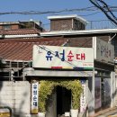 감나무집유정순대 | [맛집탐방] 중랑구 숨은 노포 순대국 맛집 &#39;감나무집 유정순대&#39;(사가정역 맛집)