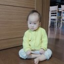 (주)신원휄트노동조합 | 일일가사도우미 우렁각시 후기 : 신원 확실한 도우미 찾는다면 좋은 선택