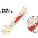 노블골프헬스 이미지