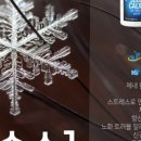 린디꾸뛰르