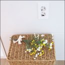 아랑디 애월 이미지