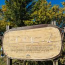 곡교천길 | 아산 여행, 11월 아산 가볼만한 곳 현충사 은행나무길 곡교천 실시간 후기 (11.10)