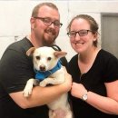 옐림농장 이미지