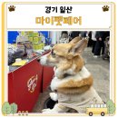 펫사랑일산점 | 마이펫페어 일산 킨텍스 일정 주차 무료 현장등록 참가업체 후기