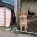 우리농원 이미지