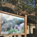 사직-비상-8호 Daum카페