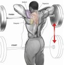 썸머핏(SUMMERFIT) 이미지