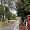 세왕기획 | 세종대왕문화제 외국인 축제참여 함께했어요!