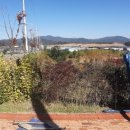 김천시청 내 이미지