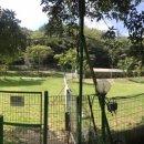 동백 숲속애견랜드 이미지