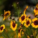 씨유 부곡점 이미지