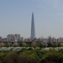 쌍용현대아파트(1차) 네이버블로그