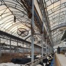 완호목장 이미지