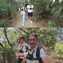 라이 이미지