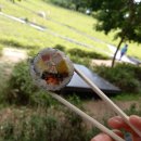 세끼 김밥천국 이미지