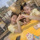운동만세 | 위자드콰이어, 역사를 노래하다! (제107주년 3.24 만세운동 기념행사 공연 후기)