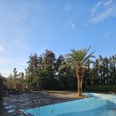 모던플레이스 | 제주 서귀포 가성비 숙소 모던플레이스 내돈내산 후기