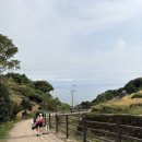 훈이 민박 이미지