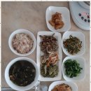 동반자케어 이미지