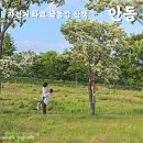 안동체육공원 축구장 이미지