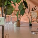 멍스테이 이미지