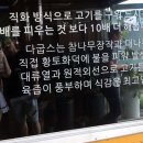 다굽스 네이버블로그