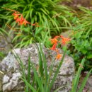 더럭초등학교 이미지