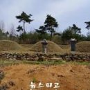 충화 류희철 부부묘 네이버블로그