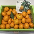 라포르하례 이미지