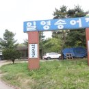 일영송어장 이미지