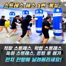 국가대표 복싱 클럽 | [공지] 전)복싱국가대표 관장님이 직접 지도! &#39;HBT복싱클럽&#39;에서 3개월 -15kg 책임감량/청주복싱/분평동...