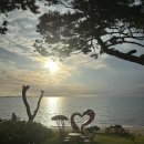 고래관광나이트 | 인천 영종도, 무의도 여행 그리고 네스트 호텔 버블파티도 존잼!!