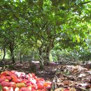 현기농장 이미지