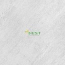 하이테디 이미지