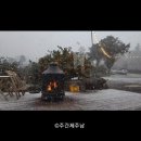 동백상점