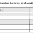 sea bass의 Aeromonas sobria 이미지