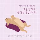 다올동물병원 이미지