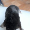 조은염소농장 이미지