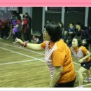 미르체육관 이미지