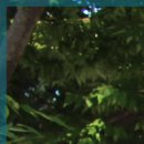 김영조피부과의원 이미지