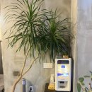 다복마천흑돼지 | 초전동 삼겹살 맛의 혁명?” – 마천흑돼지 리얼 후기