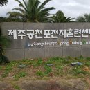 제주공천포전지훈련센터 다목적체육관 이미지