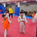 강한 태권도장 이미지