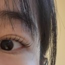 어글리뮤즈