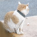 남창세탁소 네이버블로그