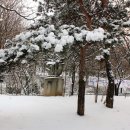 강서구민회관 이미지